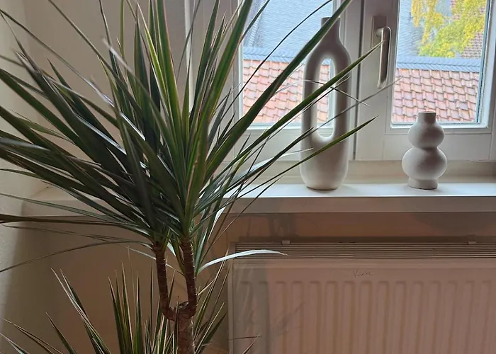 Wohlfuehloase No 3 公寓 戈斯拉尔